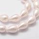 Plaqué arc nacre perles brins BSHE-L027-01-6x9-3