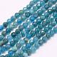 Natural Apatite Beads Strands G-F509-17-2mm-1