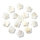 30 pièces galvanoplastie perles de coquille d'eau douce naturelles SHEL-CJ0001-26-1
