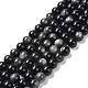 Natural Silver Obsidian Beads Strands G-D083-01B-1