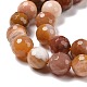 Chapelets de perles en bois pétrifié naturel G-E571-15B-4