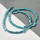 Chapelets de perles en turquoise synthétique G-F762-A02-01-2