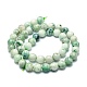 Chapelets de perles en chrysocolle naturelle G-E576-04B-2