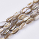 Freshwater Shell Beads Strands X-SHEL-S276-34A-1