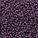 Perles rocailles miyuki rondes X-SEED-G008-RR2264-3