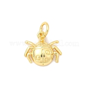 Латунь подвески KK-I364-05G-02