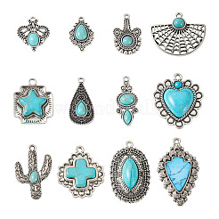 24шт 12 стиля подвески из синтетической бирюзы&nbsp;FIND-TA0001-79