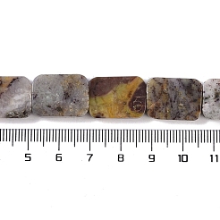 天然石瑪瑙ビーズ連売り  長方形  13x18x6mm  穴：0.8mm  約22個/連  15.75''（40センチメートル）&nbsp;G-M420-M07-02