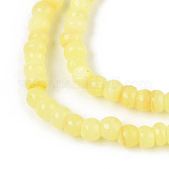 Натуральные пресноводные окрашенные бусы из ракушек SHEL-T020-29B-09