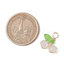 Подвески из вишневого стекла&nbsp;PALLOY-JF03470-06