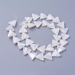 Нити бусин из ракушек SSHEL-E571-28A