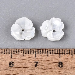Natürlichen weißen Muschelperlen&nbsp;BSHE-T014-50