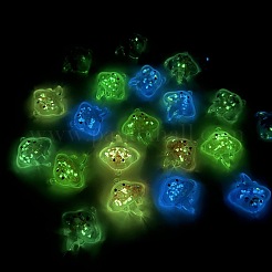 Светящиеся прозрачные акриловые подвески&nbsp;TACR-F006-01