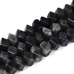 Натуральные нити бус из ларвикита G-N327-05-28