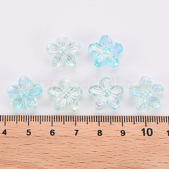 Прозрачные акриловые бусины&nbsp;TACR-S154-45C-754