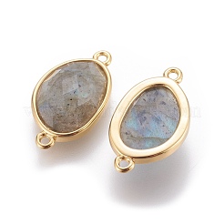 Соединители из натурального лабрадорита&nbsp;G-L513-02G