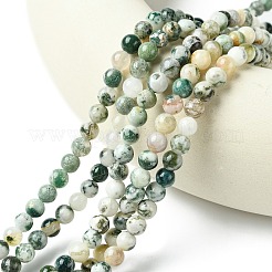 Натурального дерева агат бисер нитей G-K194-6mm-02