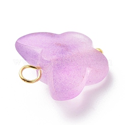 Матовые двухцветные подвески из прозрачного акрила PALLOY-JF01810-02