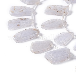 天然石ブルーレースアゲートビーズ連売り  トップ掘削  ナゲット  18~28x9~14x3~4.5mm  穴：1mm  約21個/連  7.87''（20センチメートル）&nbsp;G-I329-01