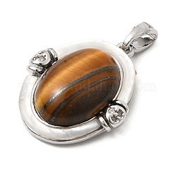 Природных тигровый глаз подвески&nbsp;KK-G553-15P