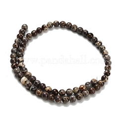 Нити бусин из натурального астроита и яшмы G-H329-C02-6mm