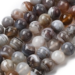 Природные Ботсвана агат бисер нитей&nbsp;G-H334-A01-03