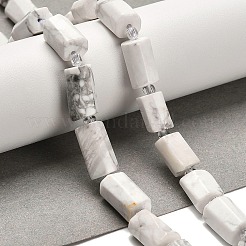 Природные Говлит бисер нитей G-K245-I22-01