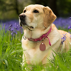 Брелки из искусственной кожи&nbsp;AJEW-CL0001-55A