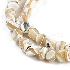 Нити бусин из натуральной ракушки трохус BSHE-H109-10