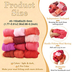 60g 12 Farben Nadelfilzwolle Roving&nbsp;DIY-TA0011-31A