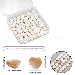 2 нить бусин из натуральных пресноводных ракушек&nbsp;SHEL-SC0001-85C