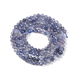 Naturperlen Stränge iolite&nbsp;X-G-N342-32