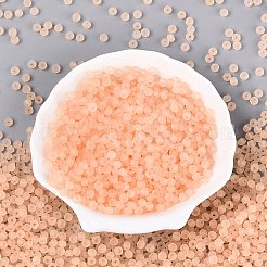 Perles de rocaille en verre transparent dépoli fgb&nbsp;SEED-N013-04A-03