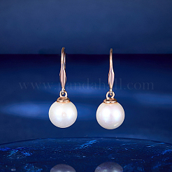 925 стерлингового серебра болтающиеся серьги CN7492