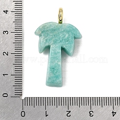 天然アマゾナイトの彫刻ペンダント  真鍮マイクロパヴェクリアキュービックジルコニアの留め具が付いたココナッツツリーチャーム  ゴールドカラー  ラックめっき  35~36x21.5~22x0.5mm  穴：3.7mm&nbsp;G-C282-04D