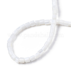 Нити бусин из натуральных пресноводных ракушек SHEL-N034-29A-01