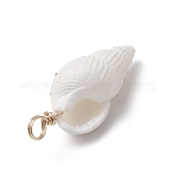 6шт 6 стиля подвески из натуральных ракушек&nbsp;PALLOY-JF03882