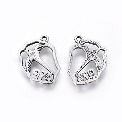 チベット風合金鳥ペンダント  鉛フリー＆カドミウムフリー＆ニッケルフリー  アンティークシルバー  20x18x1mm  穴：1mm&nbsp;TIBEP-B27429-AS-NR