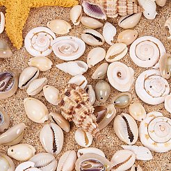 Натуральные бусины из ракушек-трубочек BSHE-PH0001-11