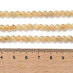 Бусины из натурального желтого граната&nbsp;G-Z129-C01-4mm-01