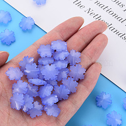 Perles en acrylique de gelée d'imitation&nbsp;LS-MACR-S373-92-E01