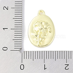 Подвески из сплава&nbsp;PALLOY-F018-14G-01