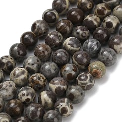 Нити бусин из натурального астроита и яшмы&nbsp;G-F814-A01-6mm