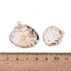 Pendentifs en coquillage naturel plaqués électrolytique&nbsp;SSHEL-Q100-17KCG
