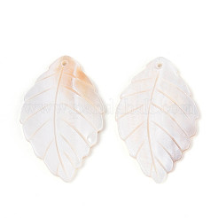Большие подвески из натуральной пресноводной ракушки SHEL-T020-25