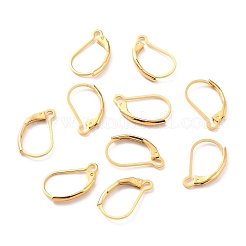 Boucles d'oreilles à levier en acier inoxydable 304&nbsp;LS-STAS-K233-04G