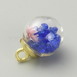 Pendentifs globe en verre transparent&nbsp;LS-GLAA-TAC0005-002E
