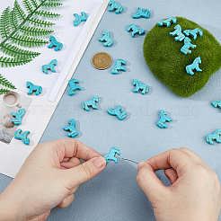 30шт подвески из синтетической бирюзы G-HS0001-13B