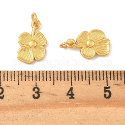 Латунные подвески&nbsp;KK-K364-27B-G