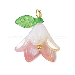 Непрозрачные акриловые подвески PALLOY-JF03267